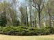 Spacious backyard featuring mature landscaping and lawn at 1603 Pinder Point Dr, Lawrenceville, GA 30043