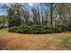 A backyard with a beautiful lawn surrounded by lush greenery at 1603 Pinder Point Dr, Lawrenceville, GA 30043