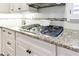 Kitchen with granite countertops and stainless steel stove at 1287 University Ne Dr, Atlanta, GA 30306