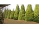 Green backyard featuring row of tall, verdant trees lining the property at 238 Valley Hill Road Rd, Riverdale, GA 30274