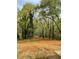 Expansive backyard with mature trees and natural landscaping, perfect for enjoying the outdoors at 1110 Toonigh Rd, Canton, GA 30115