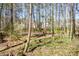 Naturalized lot with mature trees and ground cover at 1564 Pedro Sw Dr, Mableton, GA 30126