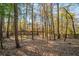 View of the tree-filled backyard with privacy fence surrounding the property at 4370 Landover Way, Suwanee, GA 30024