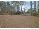 Spacious backyard surrounded by trees, providing a private and serene outdoor space at 4222 Webb Rd, Tucker, GA 30084