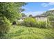 Backyard shot showcasing the house and surrounding trees and green foliage, creating a private setting at 8600 Andy Mountain Ct, Villa Rica, GA 30180