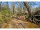 A slow-flowing creek with a sandy bottom, surrounded by lush greenery and mature trees on the property at 5388 Frazer Rd, Buford, GA 30518