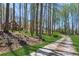 Long, tree-lined driveway leading to a secluded home, offering privacy and a picturesque entry to the property at 5388 Frazer Rd, Buford, GA 30518