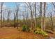 Backyard with beautiful natural views and mature trees at 67 Red Top Cir, Emerson, GA 30137