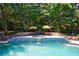 A luxurious backyard pool area, perfect for relaxation and enjoying the beautifully landscaped surroundings at 2005 Westbourne Way, Alpharetta, GA 30022