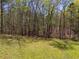 A large expanse of backyard with tall, mature trees at 4542 White Rd, Douglasville, GA 30135