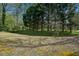 Picturesque backyard with mature trees and natural grass, creating a serene environment at 6317 Southland Forest Dr, Stone Mountain, GA 30087