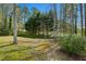 Expansive backyard featuring lush trees, green grass, and natural landscaping at 6317 Southland Forest Dr, Stone Mountain, GA 30087