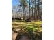 Expansive backyard with plenty of green space and mature trees, perfect for outdoor activities at 5687 Pine Meadow Ct, Morrow, GA 30260