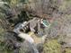 A beautiful home surrounded by lush trees with a private pool, circular driveway, and ample parking at 2160 Bradley Trl, Cumming, GA 30041