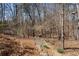 A gravel pathway leads through a secluded, wooded backyard with mature trees and natural foliage at 2160 Bradley Trl, Cumming, GA 30041