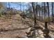 Backyard featuring a stone pathway leading through a wooded area, showcasing the natural beauty of the landscape at 2160 Bradley Trl, Cumming, GA 30041