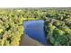Scenic aerial view of a beautiful lake surrounded by lush green trees at 3253 Brookshire Way, Duluth, GA 30096