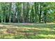 Backyard with mature trees and grassy area providing privacy at 3253 Brookshire Way, Duluth, GA 30096
