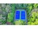 Private tennis courts, surrounded by trees, available for residents to use at 3253 Brookshire Way, Duluth, GA 30096