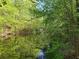 Scenic creek surrounded by lush greenery and flowering bushes, creating a tranquil setting at 106 Maple St, Roswell, GA 30075