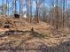 A spacious lot with towering trees offers endless possibilities for outdoor enjoyment on this real estate at 8470 Wallace Tatum Rd, Cumming, GA 30028