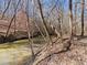A creek runs near a real estate property, surrounded by trees and natural beauty on a sunny day at 8470 Wallace Tatum Rd, Cumming, GA 30028