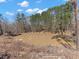 Scenic view of a backyard pond surrounded by trees, offering a tranquil and picturesque setting at 8470 Wallace Tatum Rd, Cumming, GA 30028