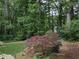 View of yard featuring a Japanese maple, greenery and wood chips at 1673 Chadwick Ridge Dr, Lawrenceville, GA 30043