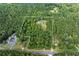 Aerial view of the acreage including a home surrounded by mature trees at 12551 Alcovy Rd, Covington, GA 30014