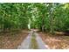 Gravel driveway through wooded acreage with mature trees and natural foliage at 12551 Alcovy Rd, Covington, GA 30014