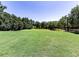 Large open space area offers room to roam at Harmony Lake Community at 134 Edinburgh Dr, Canton, GA 30115