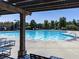 A large zero entry pool is surrounded by lounge chairs and shade at 134 Edinburgh Dr, Canton, GA 30115