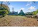Spacious backyard featuring a well-maintained lawn and privacy landscaping at 210 Timber Laurel Ct, Lawrenceville, GA 30043