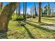 Lush backyard with mature trees and vegetation, creating a private and peaceful outdoor space at 3819 Dora Se Dr, Smyrna, GA 30082