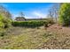 View of the backyard showcasing the well-maintained lawn and hillside with lush greenery at 3819 Dora Se Dr, Smyrna, GA 30082