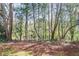 Wooded backyard with beautiful trees, foliage and a black wrought iron fence surrounding the property at 1926 Regency Cove Ct, Atlanta, GA 30341