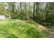 Lush backyard with mature trees, providing privacy and a serene natural setting at 1194 Clearview Ne Dr, Brookhaven, GA 30319