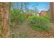 View of the overgrown backyard with lush greenery and trees providing natural privacy at 1933 Silvastone Dr, Decatur, GA 30033