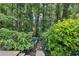 Lush backyard retreat featuring mature trees and verdant foliage, creating a private and serene outdoor space at 1933 Silvastone Dr, Decatur, GA 30033