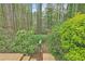 Scenic backyard featuring lush greenery and a peaceful atmosphere at 1933 Silvastone Dr, Decatur, GA 30033
