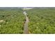 Aerial view of river flowing through a dense forest in a peaceful and serene setting at 3545 Silver Vista Ct, Cumming, GA 30041