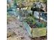 Organized vegetable garden featuring raised garden beds for easy gardening at 3810 Galloway Dr, Roswell, GA 30075