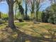 The large yard features a mature shade tree and a stone fire pit creating an outdoor oasis at 1012 Burns Dr, Atlanta, GA 30310