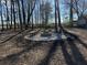 Backyard view featuring a fire pit with seating amid mature trees at 5720 Crow Dr, Cumming, GA 30041