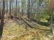 A sloped backyard that is thickly wooded at 7508 Asbury Manor Dr, Lithonia, GA 30058