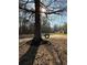 Secluded backyard featuring a tire swing and a view of a charming home at 197 Buckhorn Dr, Temple, GA 30179