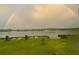 Backyard with lawn furniture and beautiful double rainbow over the lake on a partially cloudy day at 197 Buckhorn Dr, Temple, GA 30179