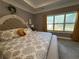 Comfortable main bedroom features soft carpet, a tray ceiling, and a large window with natural light at 197 Buckhorn Dr, Temple, GA 30179
