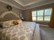Well-lit main bedroom with tray ceilings, plush carpet, and a large window at 197 Buckhorn Dr, Temple, GA 30179