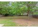 Backyard featuring mature trees and a peaceful view at 223 Gilliam Ct, Locust Grove, GA 30248